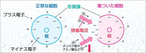 微弱電流療法をご存知ですか？